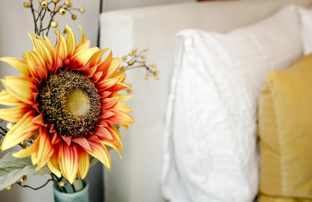Sunflower Amsterdam-1