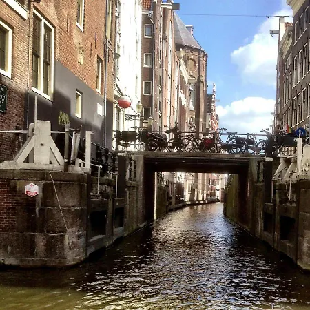 Blauwe Hoorn-2