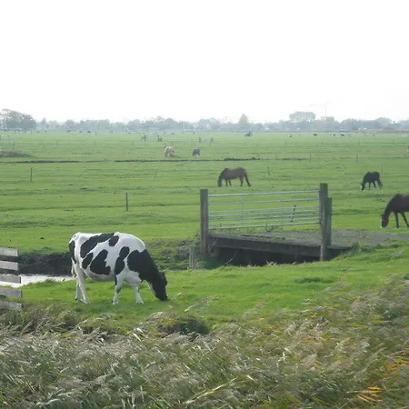B&B Hutspot-3